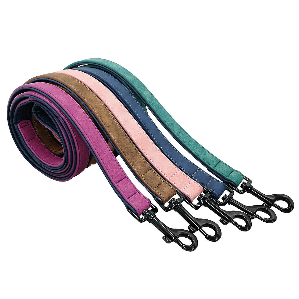 Thumbnail: Leather Dog Collar Set Customized Dogs 2 Layer Leash for Small Medium Large Dogs