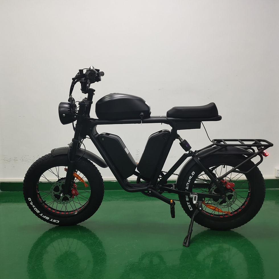 Thumbnail: 20 Inch Fat Tire 48v1000w*2 Dual Motors 48v 70ah Lithium Batteries Electric Bik