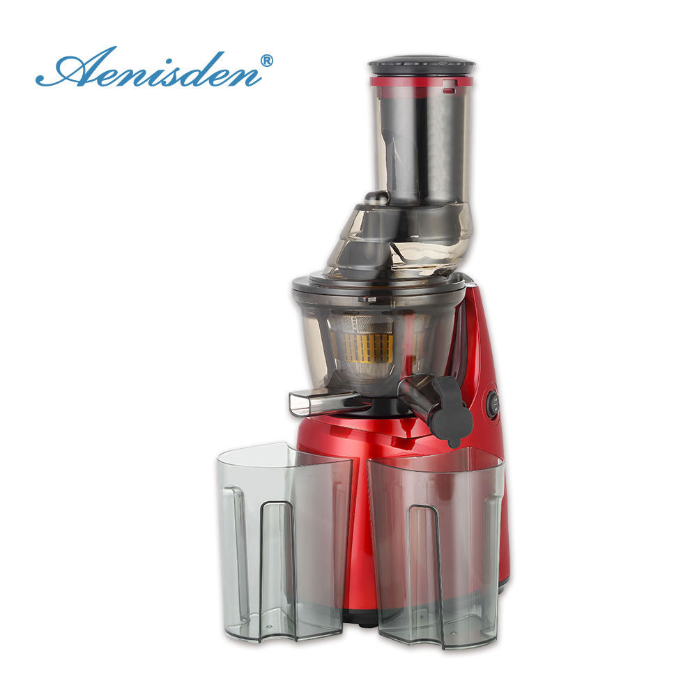 New lifestyle Professional Juicer Extractor Machine with Cold Press Juicer High