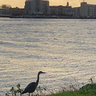 WhatsApp Image 2020-12-29 at 11.10.12 (2