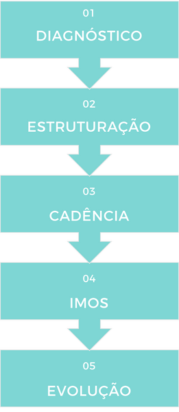 Metodologia SIEDA