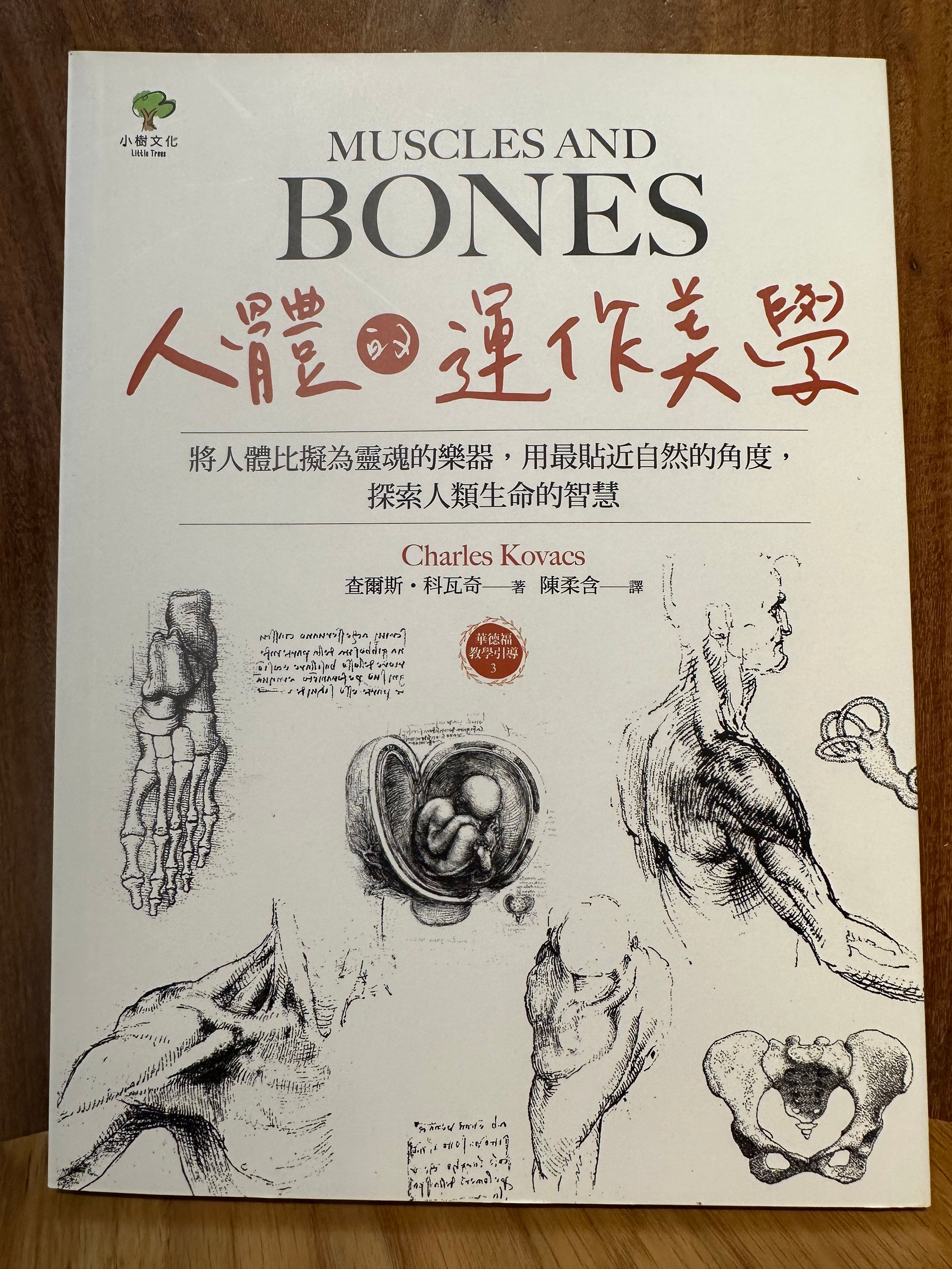 人體的運作美學