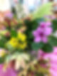flower.jpg
