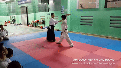 shomen uchi irimmi nage 3