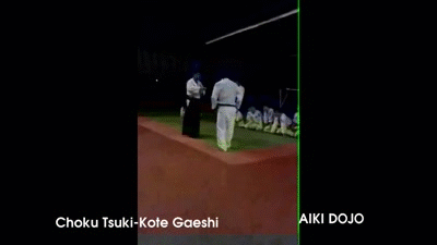 Choku_Tsuki_Kote_Gaeshi text