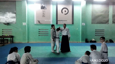 aikidojo_ki_khoa 2