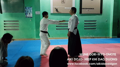 mune dori-ikkyo-omote