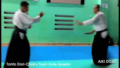 Tanto_Dori_Choku_Tsuki_Kote_Gaeshi text