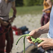 séjour escalade sud France depuis Montpellier