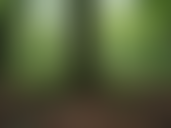 Defining and Embracing Your Spiritual Identity Meaning