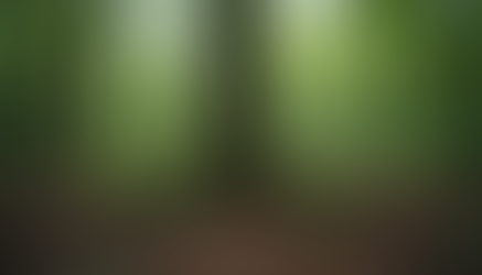 Defining and Embracing Your Spiritual Identity Meaning