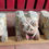 Miniature : Inde Rajasthan. Lot de 8 gargouilles de temple en pierre calcaire Polychrome