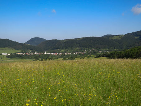 Trip Report Slovakia and Poland June 2018
