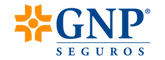 Gnp (1).png