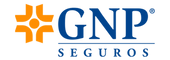 Gnp (1).png