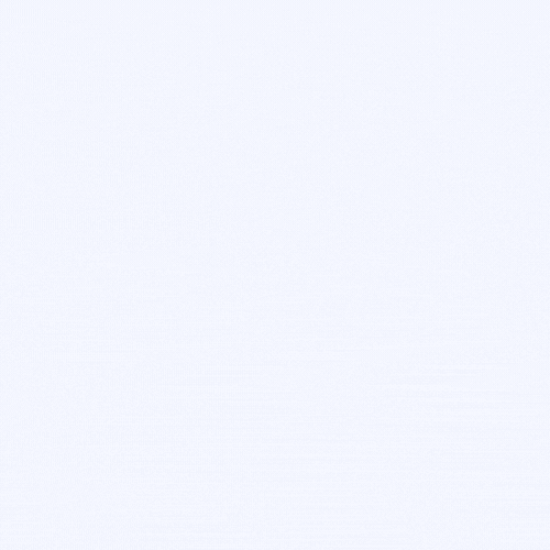 nano (1).gif