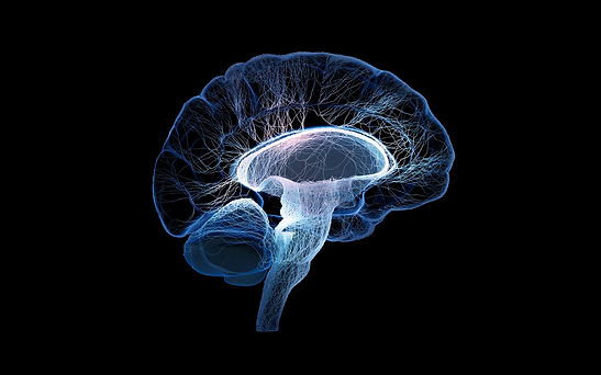 WebsiteJpg_XL-FNINS_Main Visual_Purple_Website (1).jpg