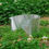 Thumbnail: FIREMAPLE Foldable Light Weight Camping Aluminum Wind Shield
