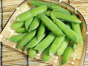 秋〜初夏にかけて長期栽培する野菜(10月〜11月に作付けする野菜)