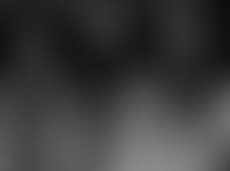 Honouring our veterans