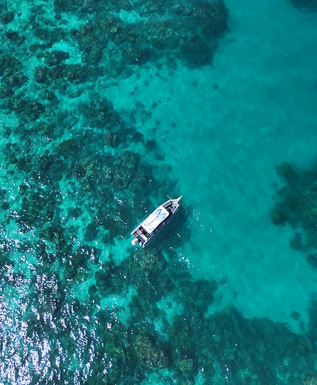 Crew H2O - Mission Beach - Snorkelling, Diving, Fishing Mission Beach