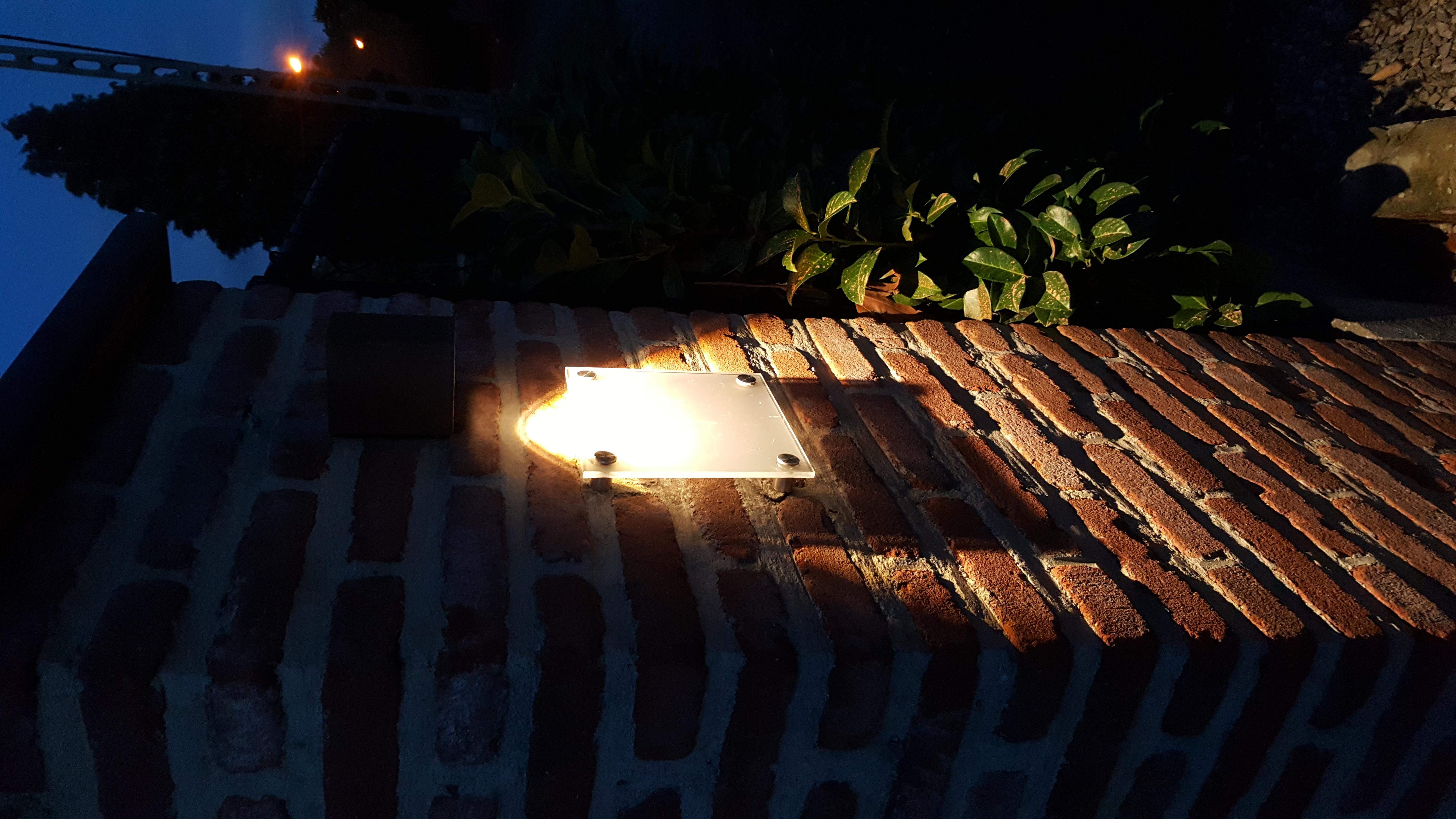Project Tremelo | In-Lite