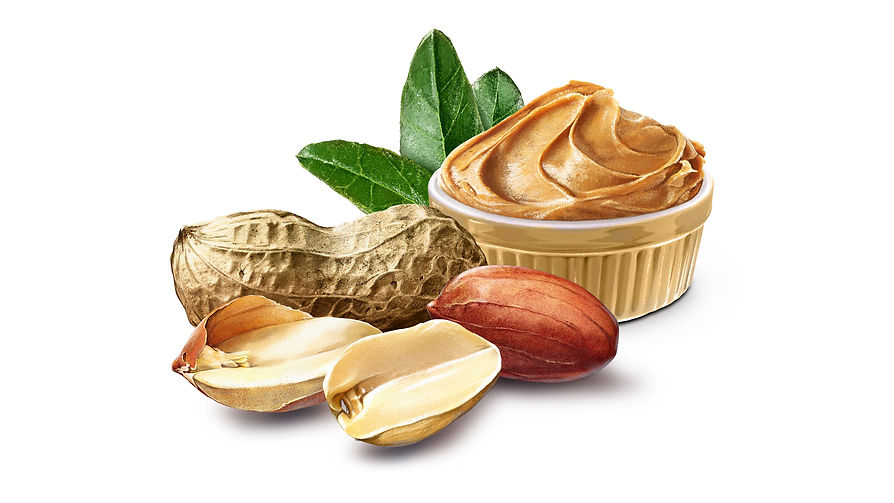 ∆ Nature Nux Prez_Illustration Arachides.jpg