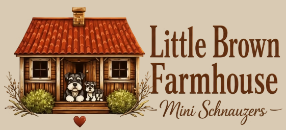 logo photo 3.png