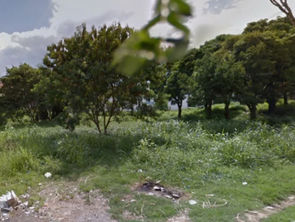 Preservação da Mata Lareira em debate