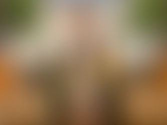 Brasil vai sediar o Black Travel Summit, evento que debate e promove o afroturismo, em 2025