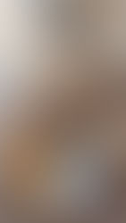 Polícia apreende 35 aves silvestres em Itatiaiuçu