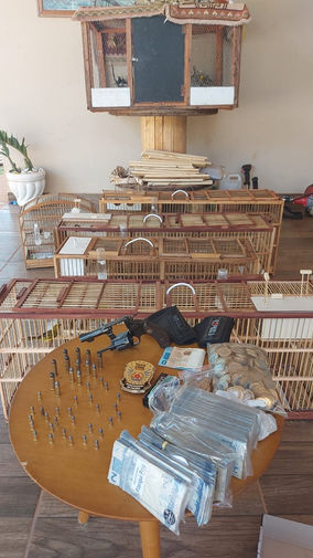 Polícia apreende 35 aves silvestres em Itatiaiuçu