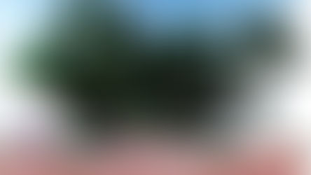 PBH aprova revitalização histórica e paisagística da Avenida Bernardo Monteiro