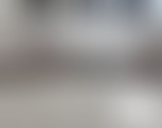 CRIME AMBIENTAL NO SANTA INÊS