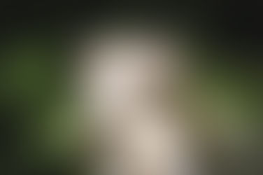 COMBATE A VIOLÊNCIA CONTRA MULHER PELO WHATSAPP