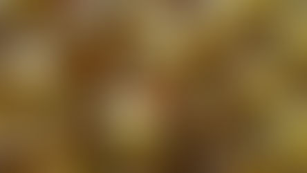 Produção regular de cachaça ganha reforço com acordo firmado entre Instituto Mineiro de Agropecuária e Secult