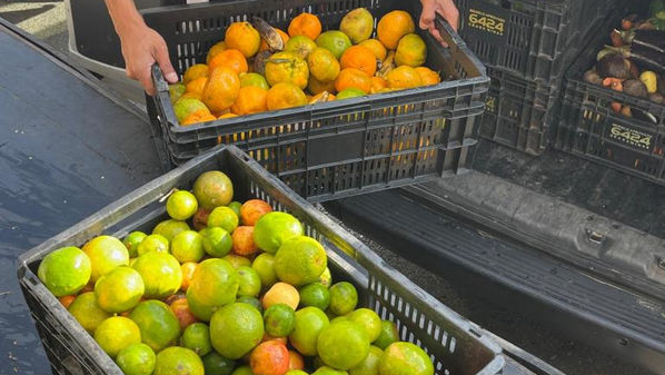 Belo Horizonte é destaque no combate ao desperdício de alimentos