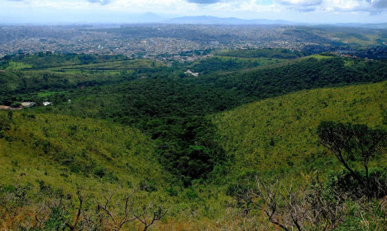 Avança PL que reconhece valor ecológico e cultural da Mata da Baleia