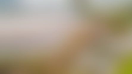 Passeios turísticos gratuitos são retomados em Belo Horizonte com roteiro especial pela Pampulha