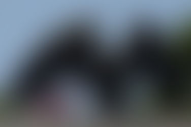 Presidente do Flamengo falta à CPI e poderá ser levado sob escolta