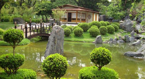 Jardim Japonês de BH oferece atividade com degustação de chás