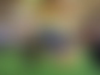 Edital: Abertas as inscrições para participação em feiras internacionais do segundo semestre de 2025