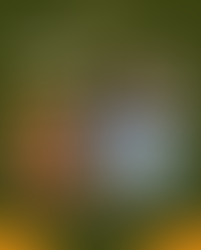 Vem aí a 2ª Edição do Circuito Lagoinha