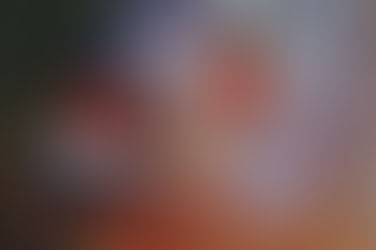 PIRANHAS ATACAM EM PRAIA NO TO