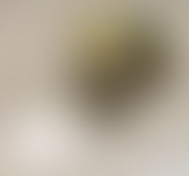 TRÁFICO DE DROGAS NO CONJUNTO IAPI