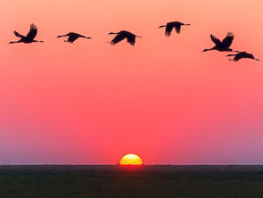 Aberto edital para fortalecer o turismo de experiência no Brasil