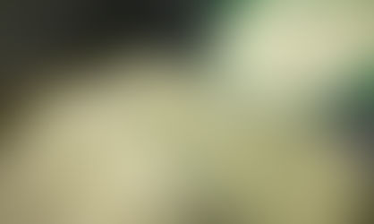 DONOS DE SUPERMERCADOS SUGEREM TROCAR ARROZ POR MACARRÃO