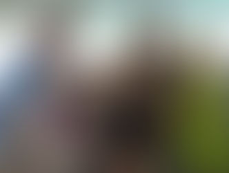 Carnaval no PIC: Alegria, Família e Tradição!