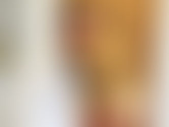 Cuidados com os pets durante o inverno: veja como proteger seu animal de estimação nos dias frios