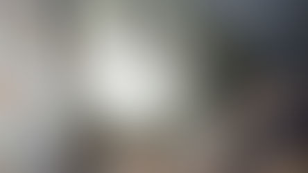 Ribeirão das Neves: Bombeiros encontram caixa de marimbondo gigante em casa